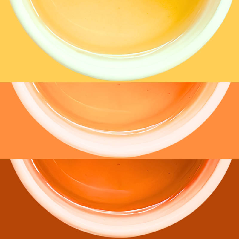 High Mountain & Bold Reds Taster Pack