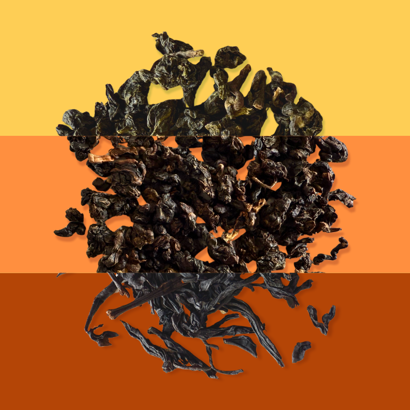 High Mountain & Bold Reds Taster Pack