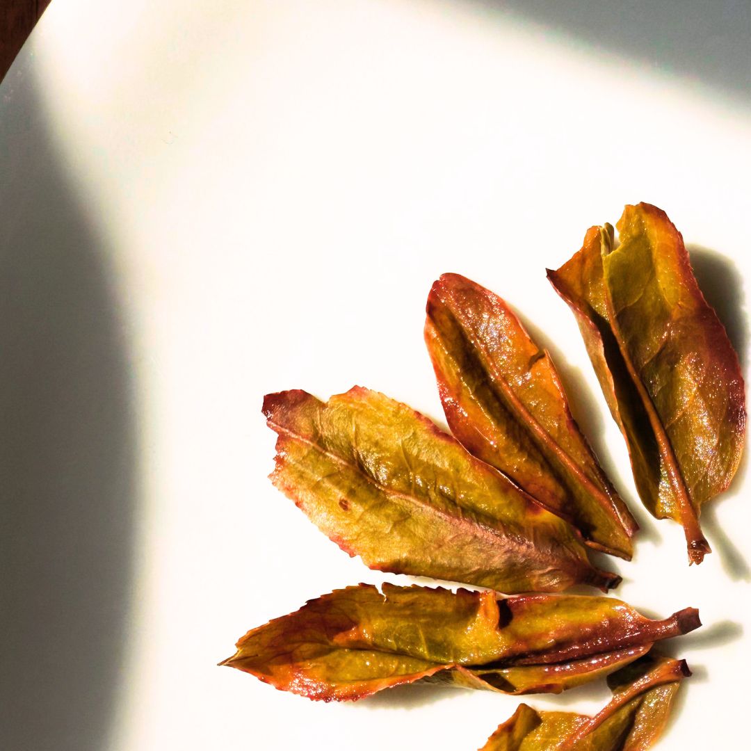 The History of Oriental Beauty Tea: When Nature, Imperfection, and Craft Create a Masterpiece